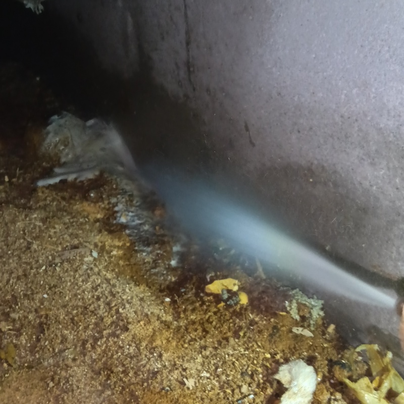 基礎に防蟻剤を吹きつけている様子