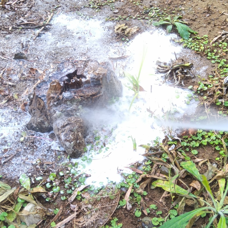建物外周の土壌に防蟻剤を散布