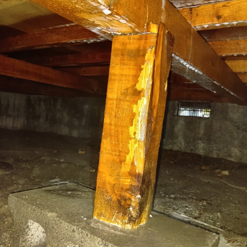 床下木材にシロアリ駆除剤を散布した様子