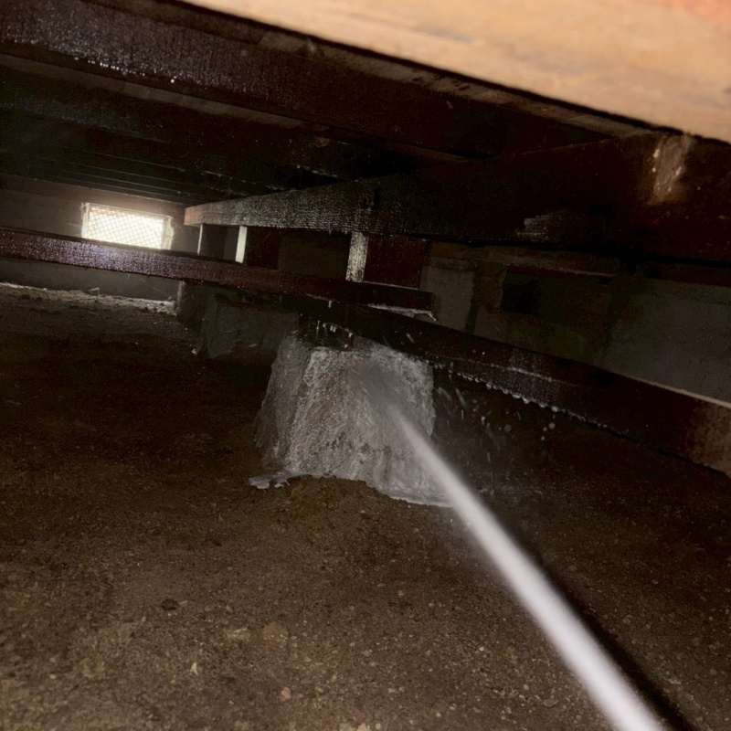 束石にシロアリ駆除剤を吹きつける様子