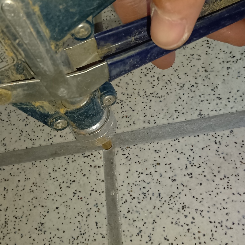 玄関床のタイルの目地からシロアリ駆除剤を注入