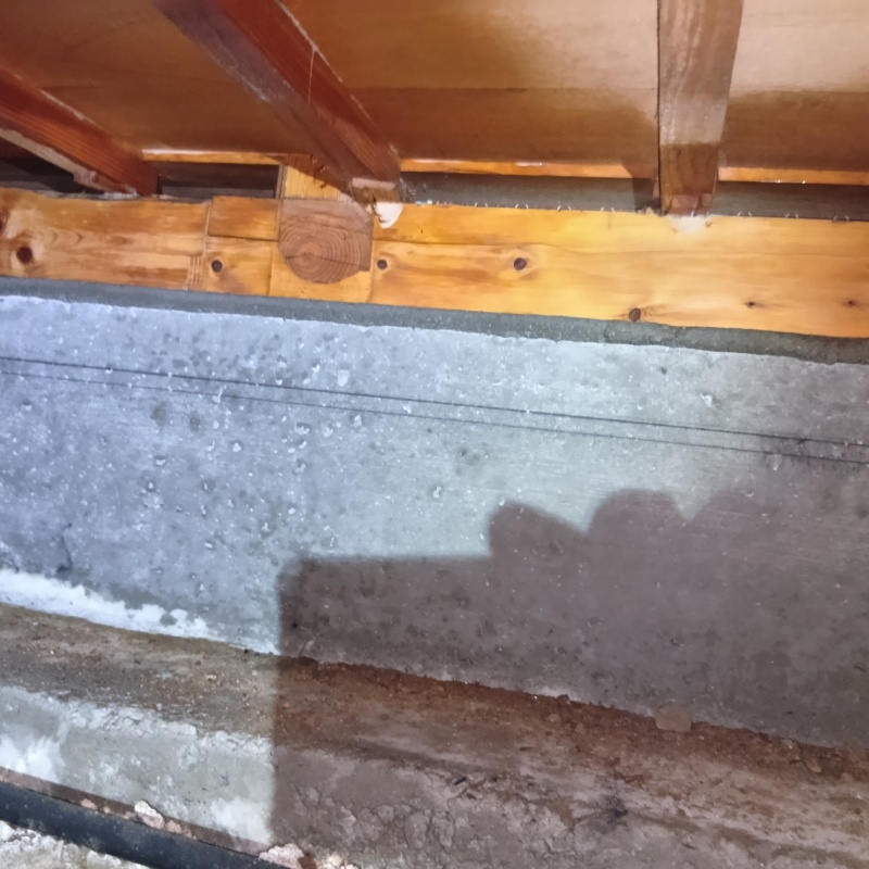 床下木材にシロアリ駆除剤を散布した様子