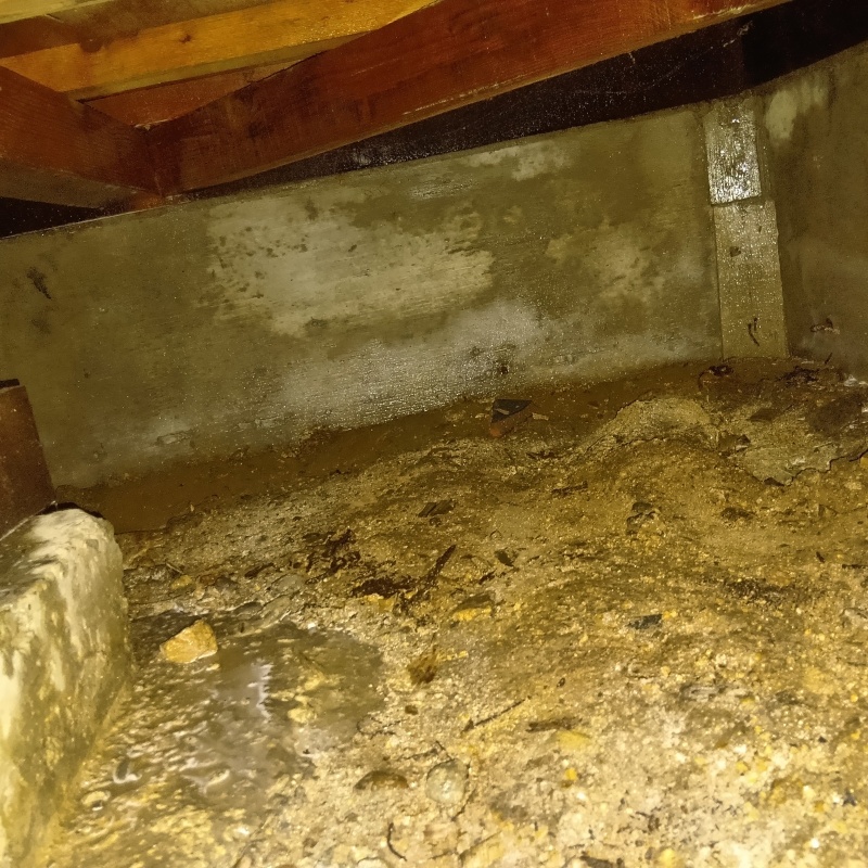 基礎にシロアリ駆除剤を散布