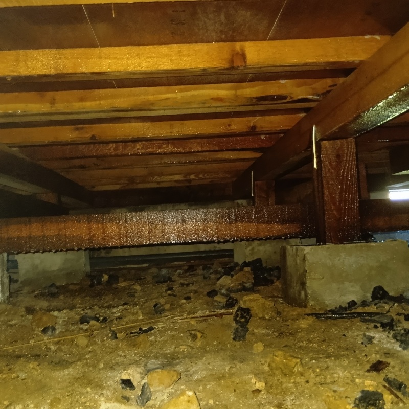 地面にシロアリ駆除剤を散布