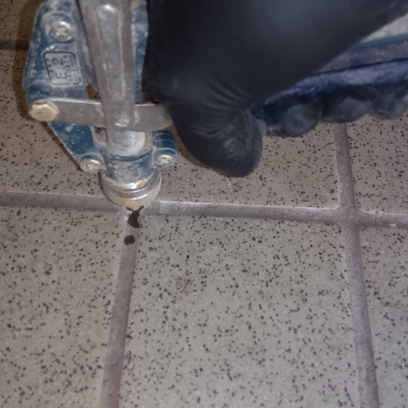 玄関床のタイルの目地にシロアリ駆除剤を注入