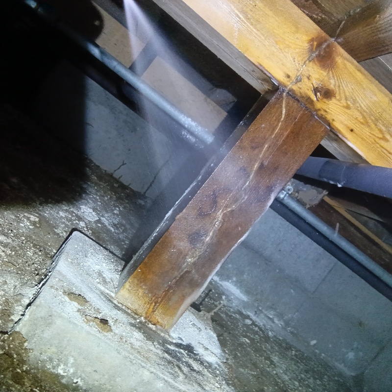 木材にシロアリ駆除剤を吹きつけている様子