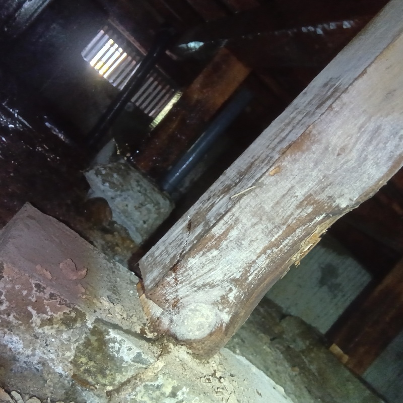 シロアリの食害により床下の木材が劣化している様子