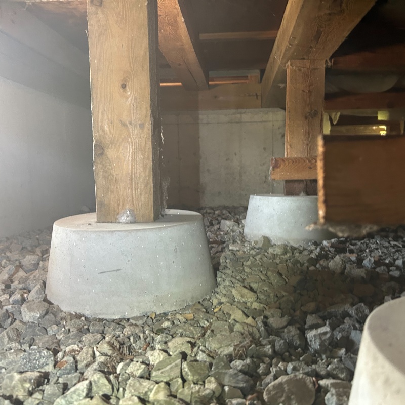 シロアリ駆除剤を散布する前の様子