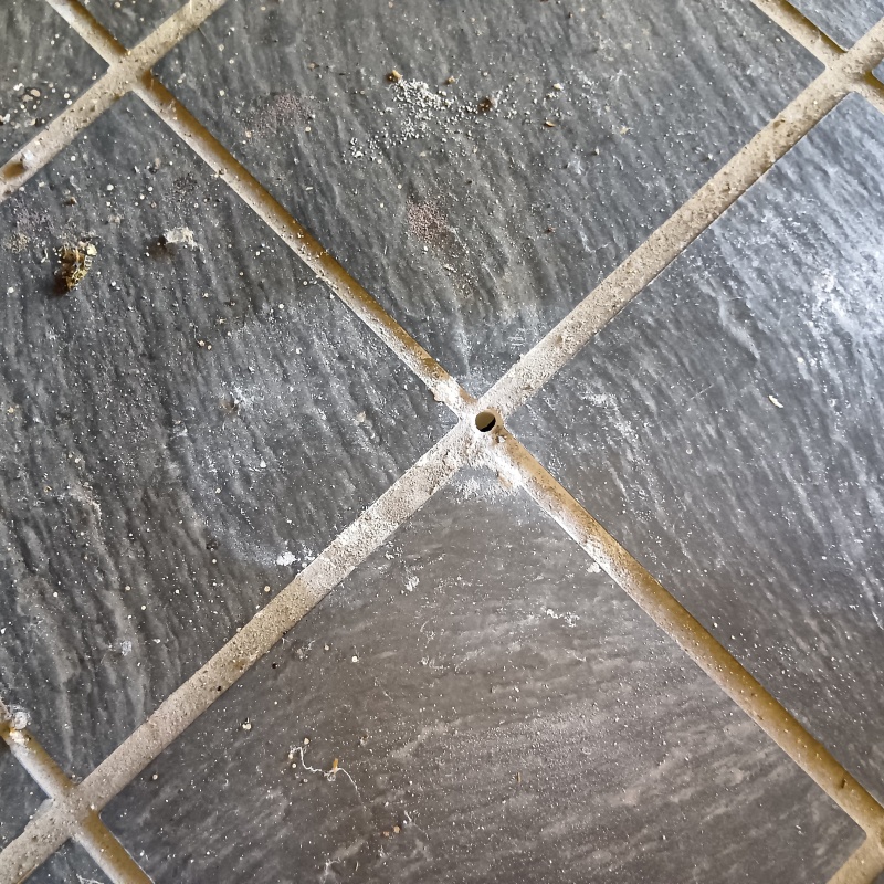 シロアリ駆除剤を注入する穴を開けている様子