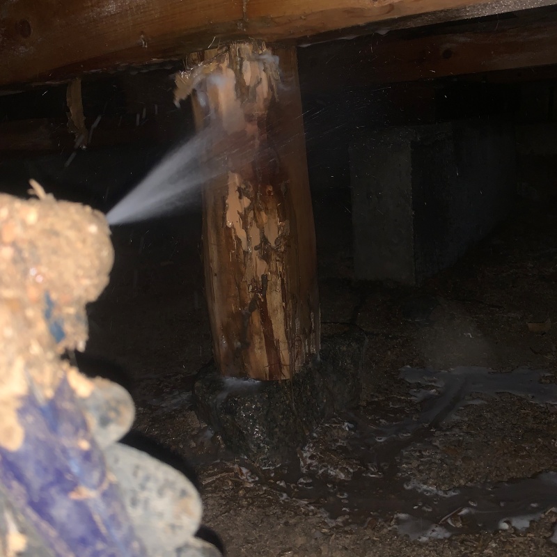 ダメージが蓄積した床下の木材にシロアリ駆除剤を散布