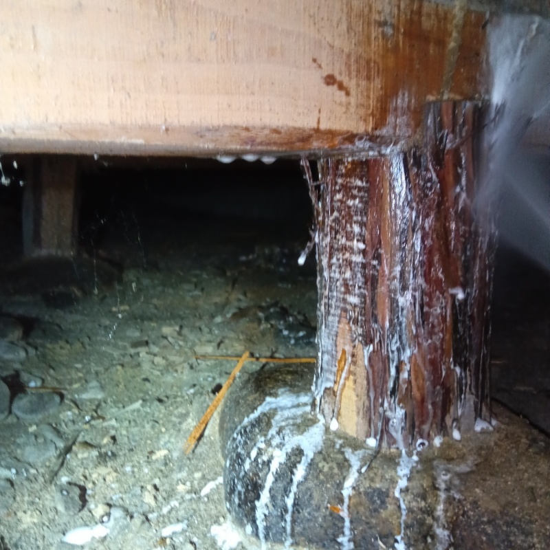 ダメージが蓄積していた床下木材にシロアリ駆除剤を散布