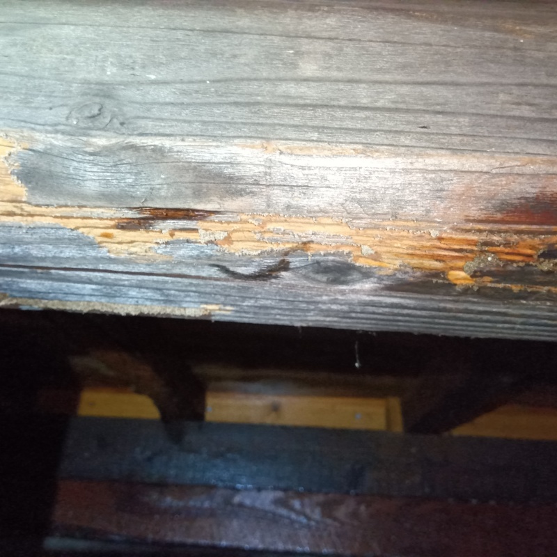 劣化した床下の木材