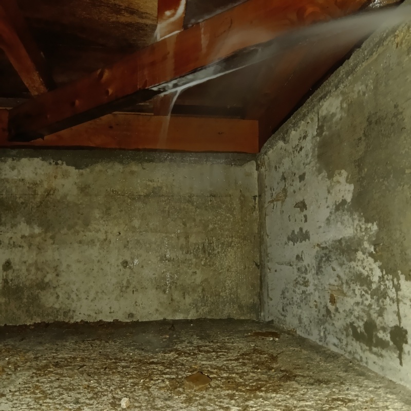 床束にシロアリ駆除剤を散布