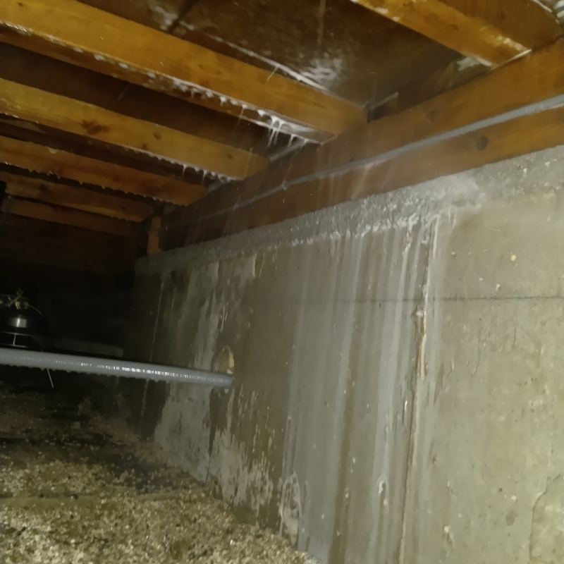 床下基礎のコンクリートにシロアリ駆除剤を吹きつけている様子