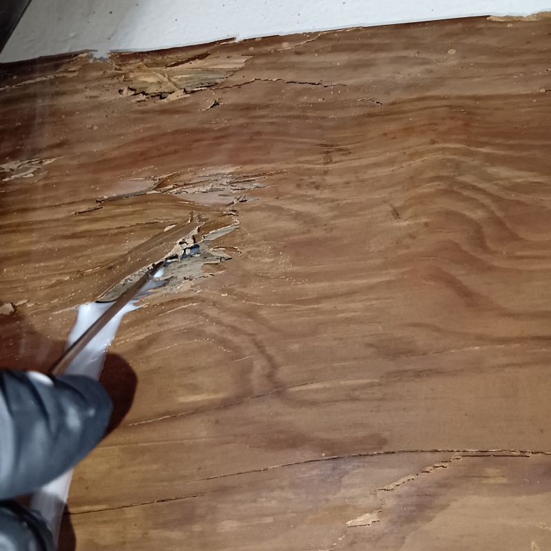 木材の亀裂からシロアリ駆除剤を注入