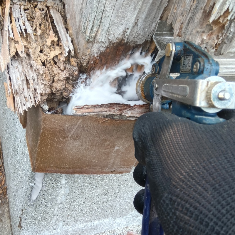 床下の木材にシロアリ駆除剤を吹きつけている様子