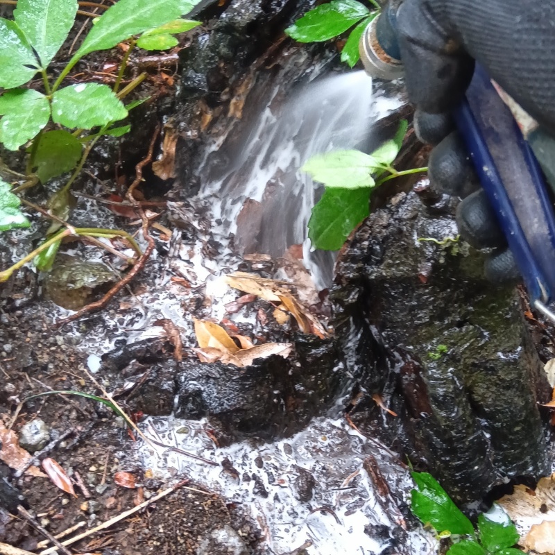 建物外周の土壌にシロアリ駆除剤を散布