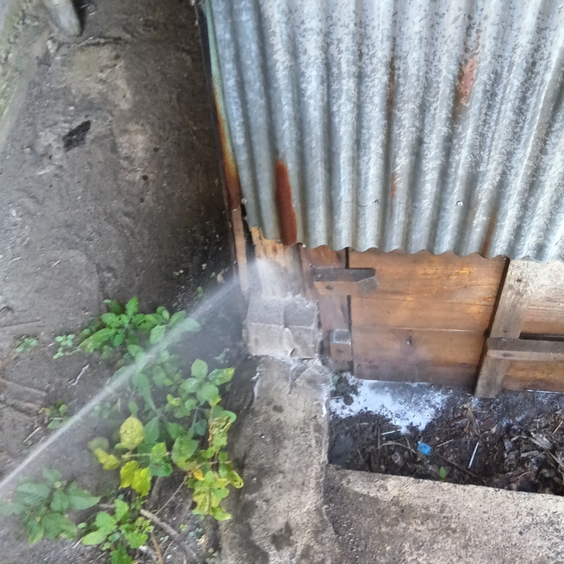 建物外壁の木材にシロアリ駆除剤を吹きつけている様子