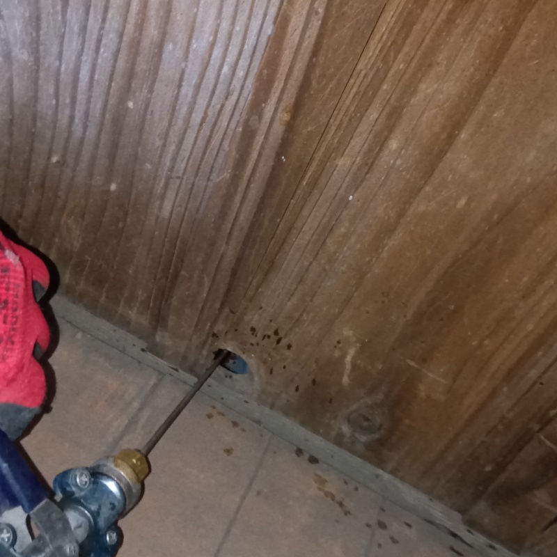 壁の穴を利用してシロアリ駆除剤を注入
