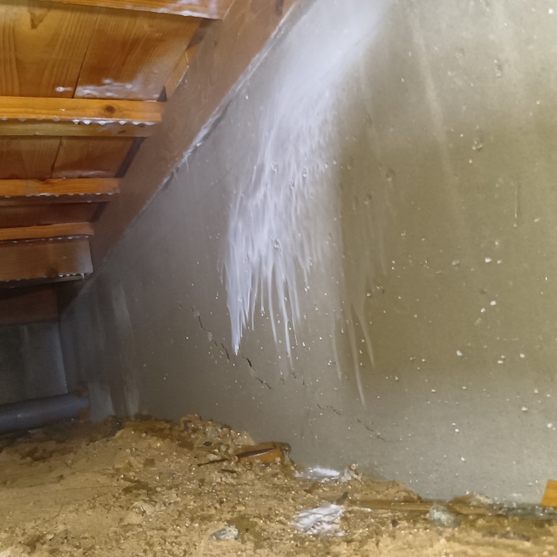 床下基礎のコンクリートにシロアリ駆除剤を散布