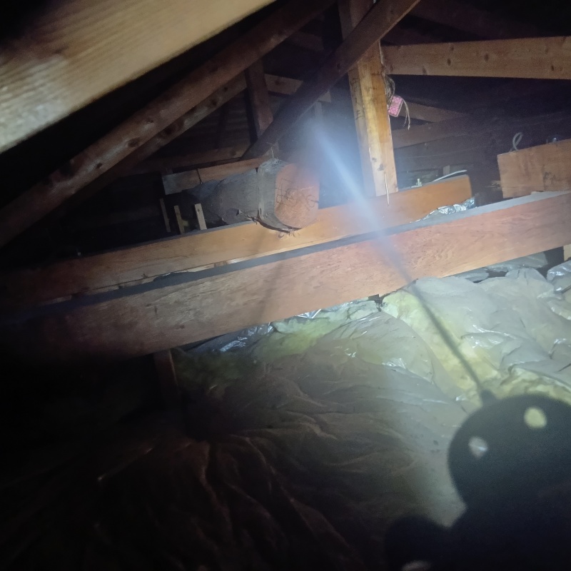 屋根裏の木材にシロアリ駆除剤を散布