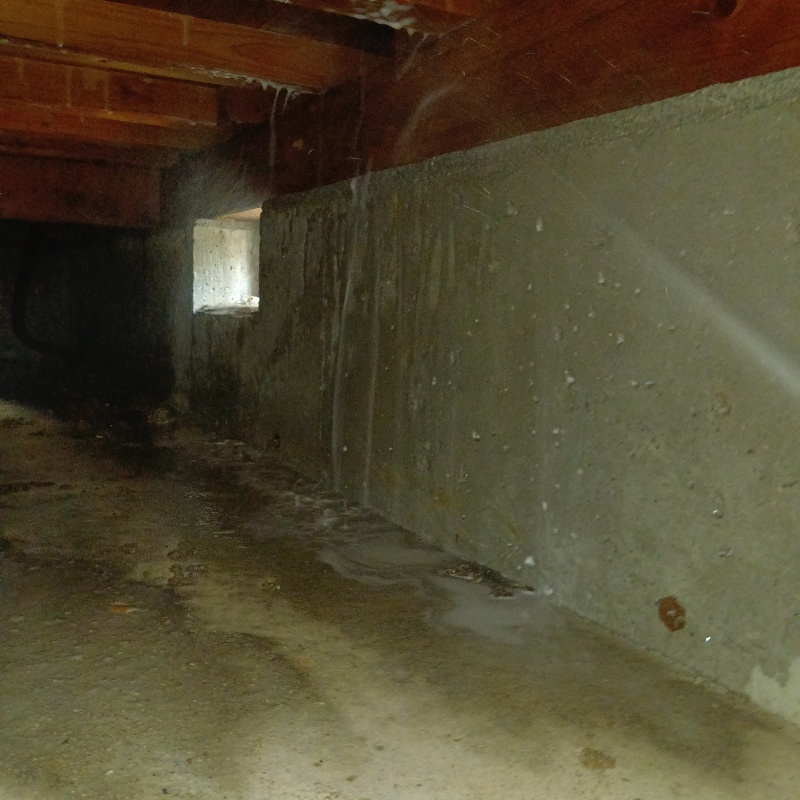 床下の基礎にシロアリ駆除剤を吹きつけている様子