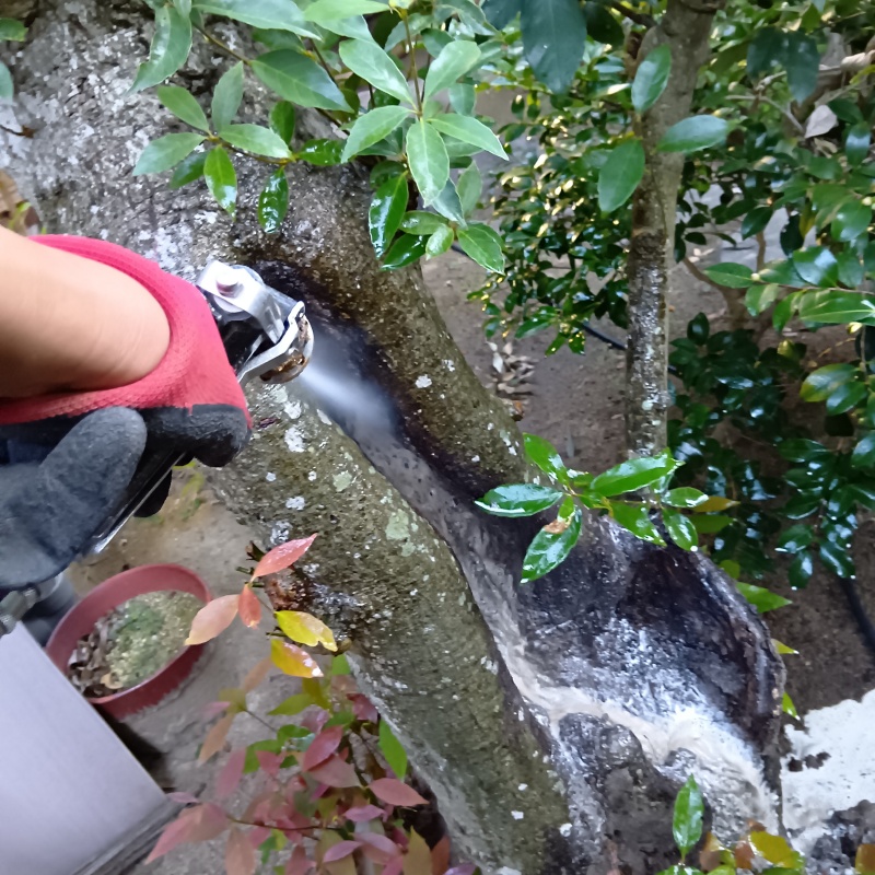 建物外周の土壌・植木にシロアリ駆除剤を散布