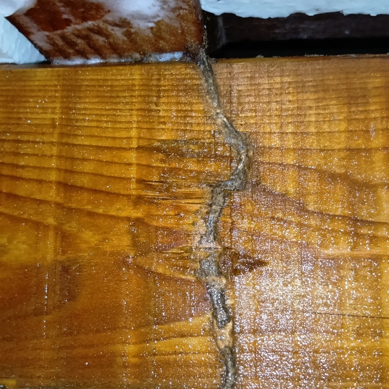 床下の木材に作られた蟻道にシロアリ駆除剤を散布