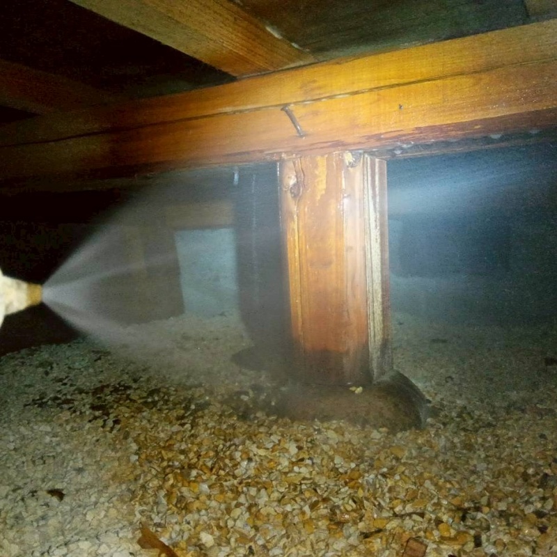 床束にシロアリ駆除剤を吹きつけている様子