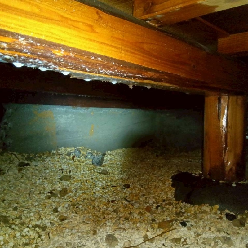 床下の木材にまんべんなくシロアリ駆除剤を散布