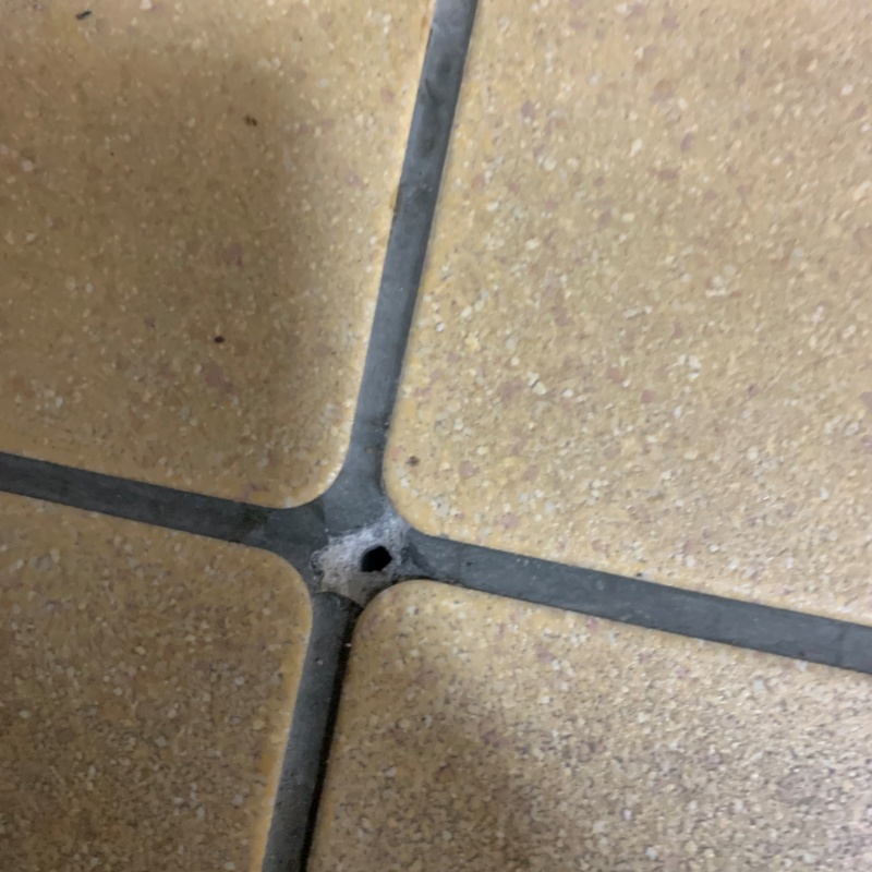 玄関床の目地に穴を開けている様子