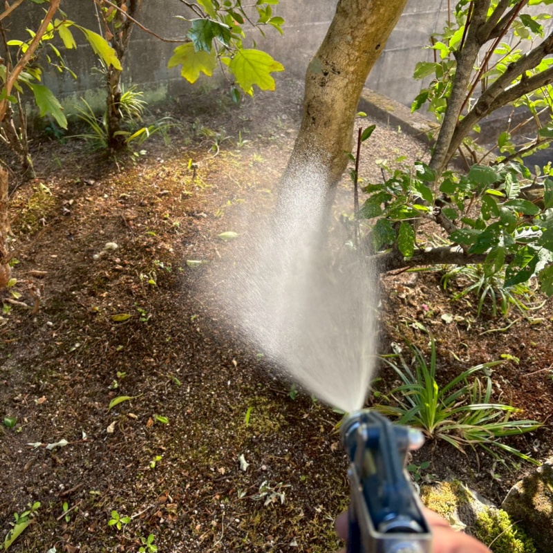 植木にシロアリ駆除剤を散布