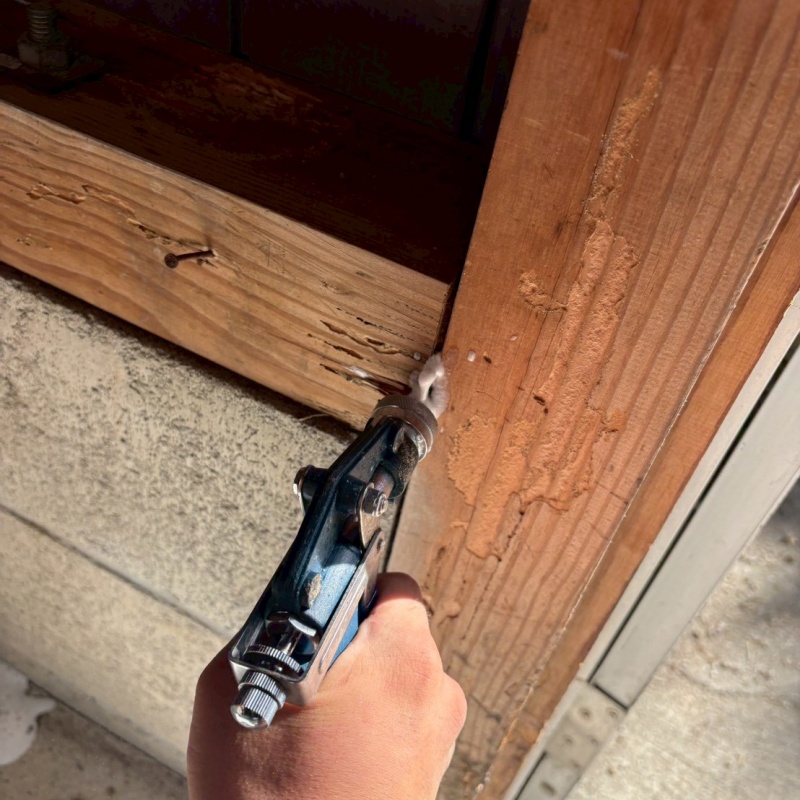 劣化した木材にシロアリ駆除剤を注入