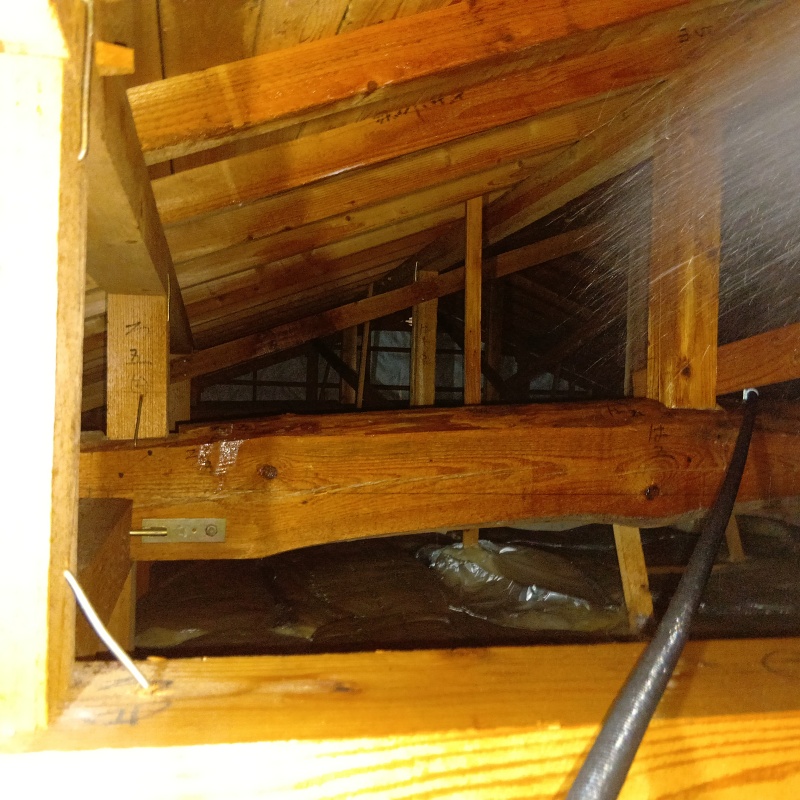 屋根裏の木材にシロアリ駆除剤を散布している様子