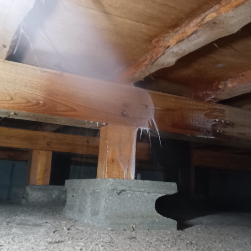 床下の床束と大引にシロアリ駆除剤を散布