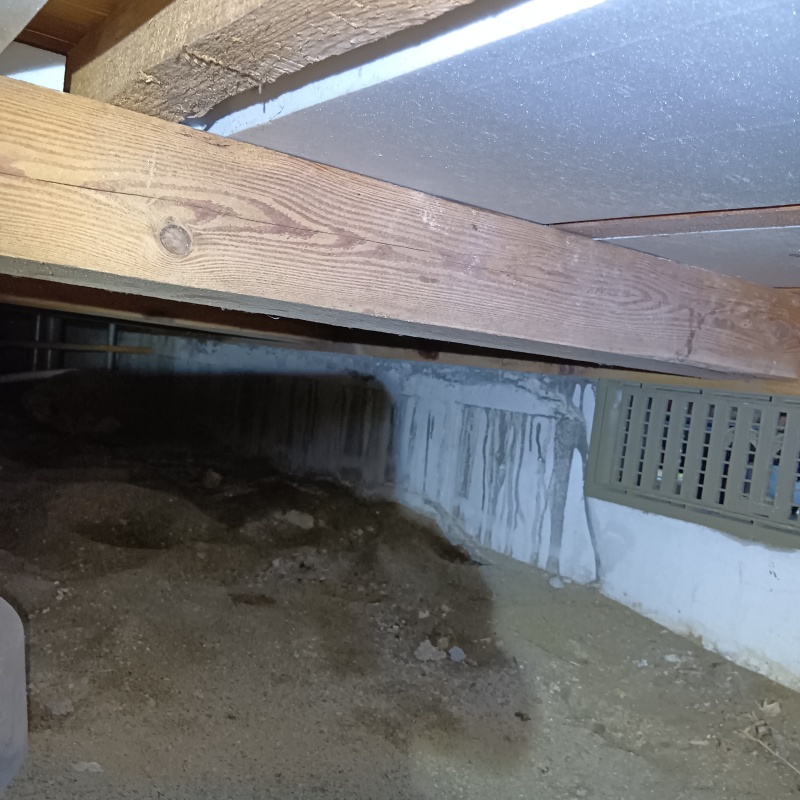 築年数43年のシロアリ駆除の施工事例（富山県富山市豊城新町）