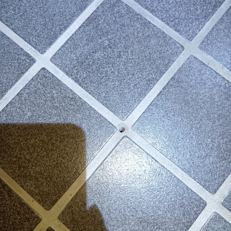 シロアリ駆除剤を注入するための穴を開けている様子