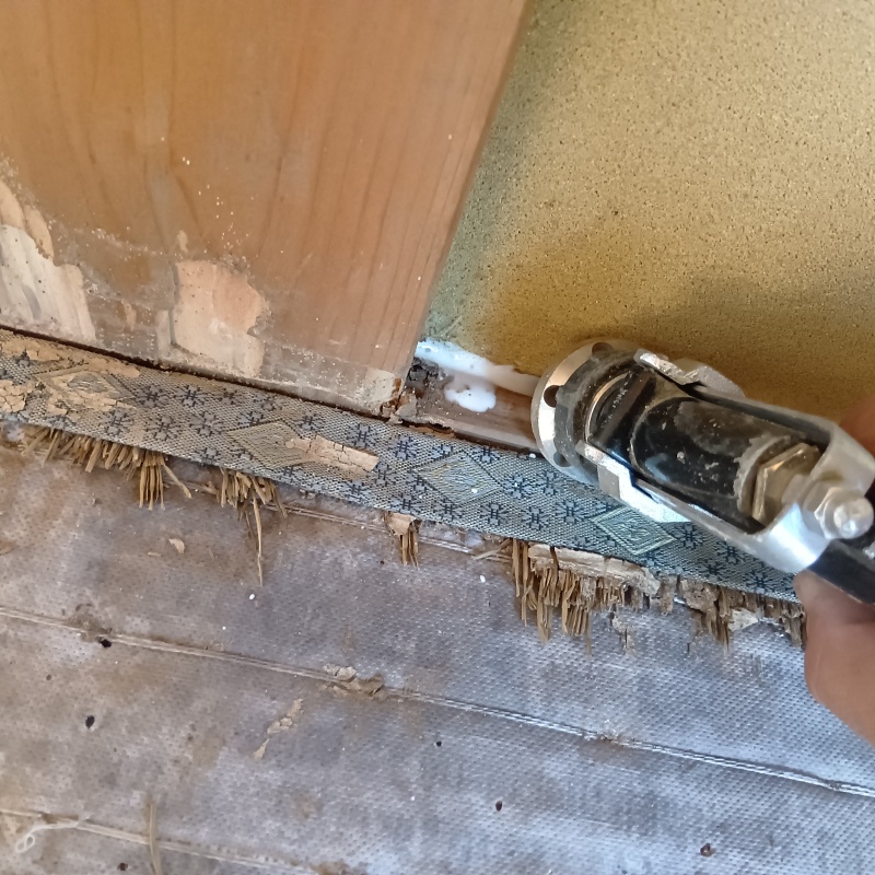 畳まわりに薬剤を注入