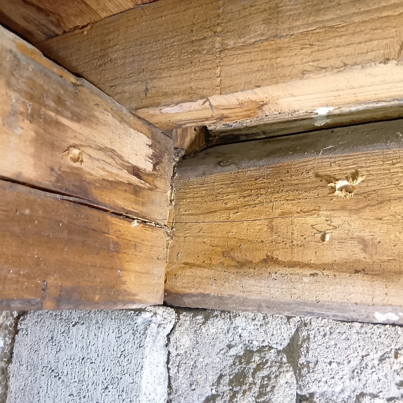 築年数40年のシロアリ駆除の施工事例（福岡県春日市千歳町）