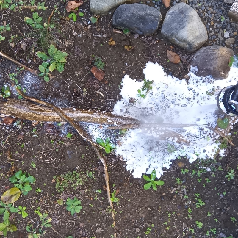 建物周辺の土壌にシロアリ駆除剤を散布