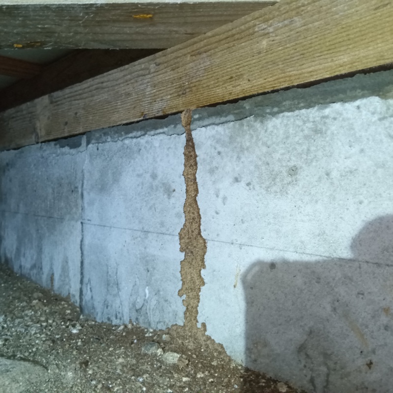 築年数29年のシロアリ駆除の施工事例（福島県岩瀬郡鏡石町大宮）