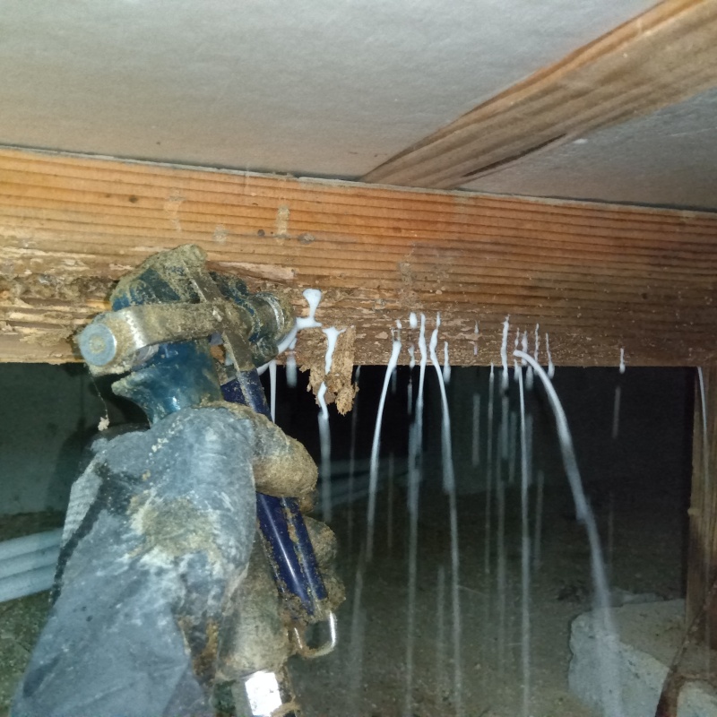 食害を受けた木材にシロアリ駆除剤を注入