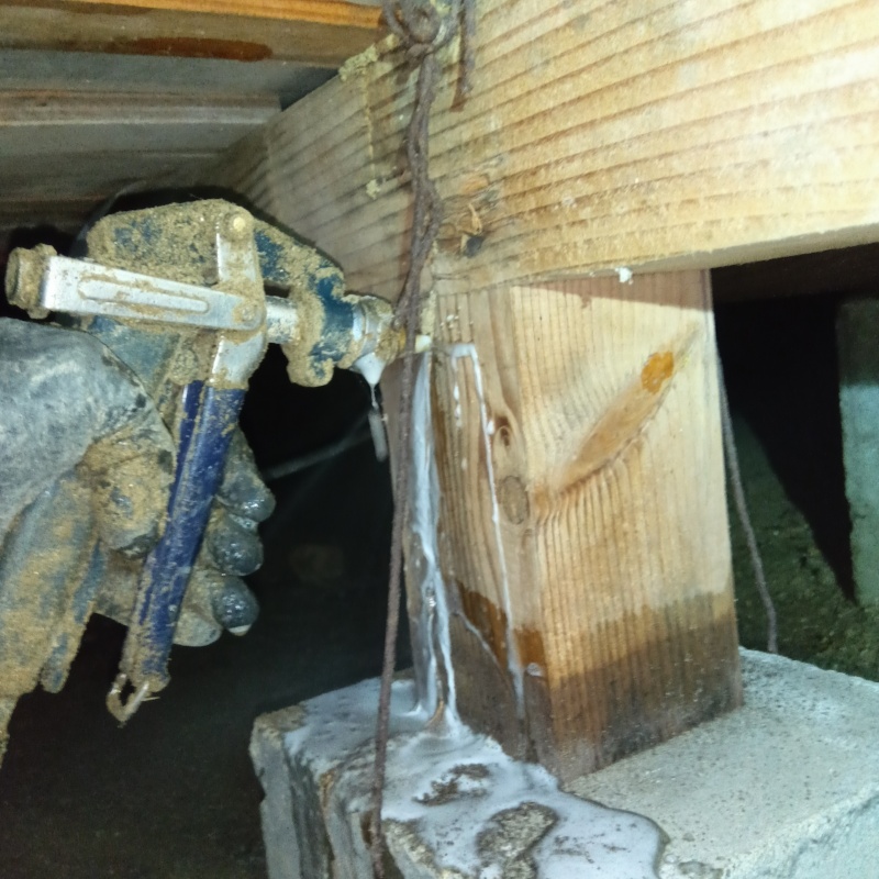 食害を受けた木材にシロアリ駆除剤を注入