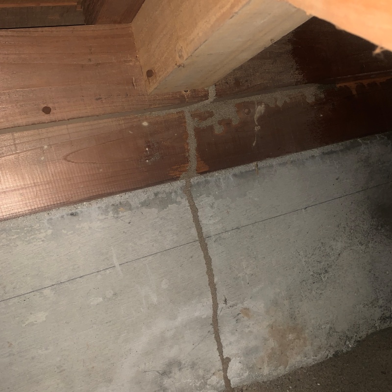 床下で発見した蟻道