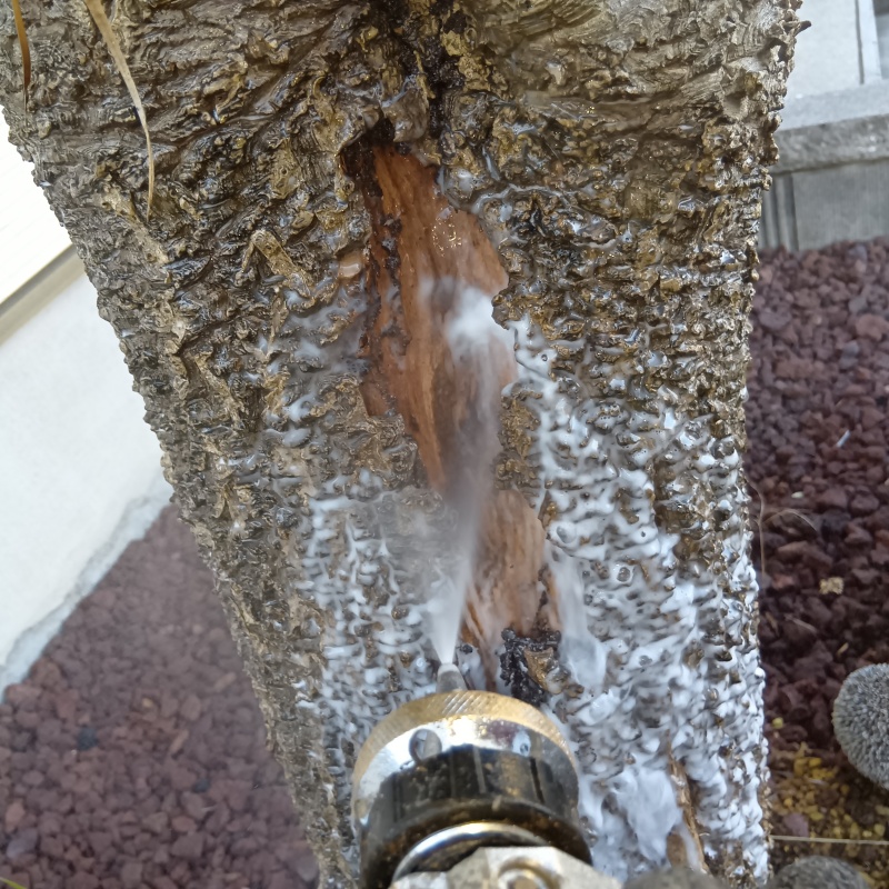 築年数12年のシロアリ駆除の施工事例（千葉県白井市根）