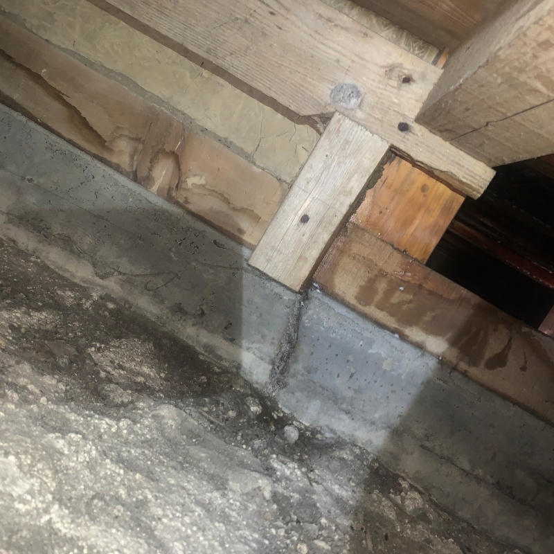 築年数50年のシロアリ駆除の施工事例（岐阜県岐阜市茜町）