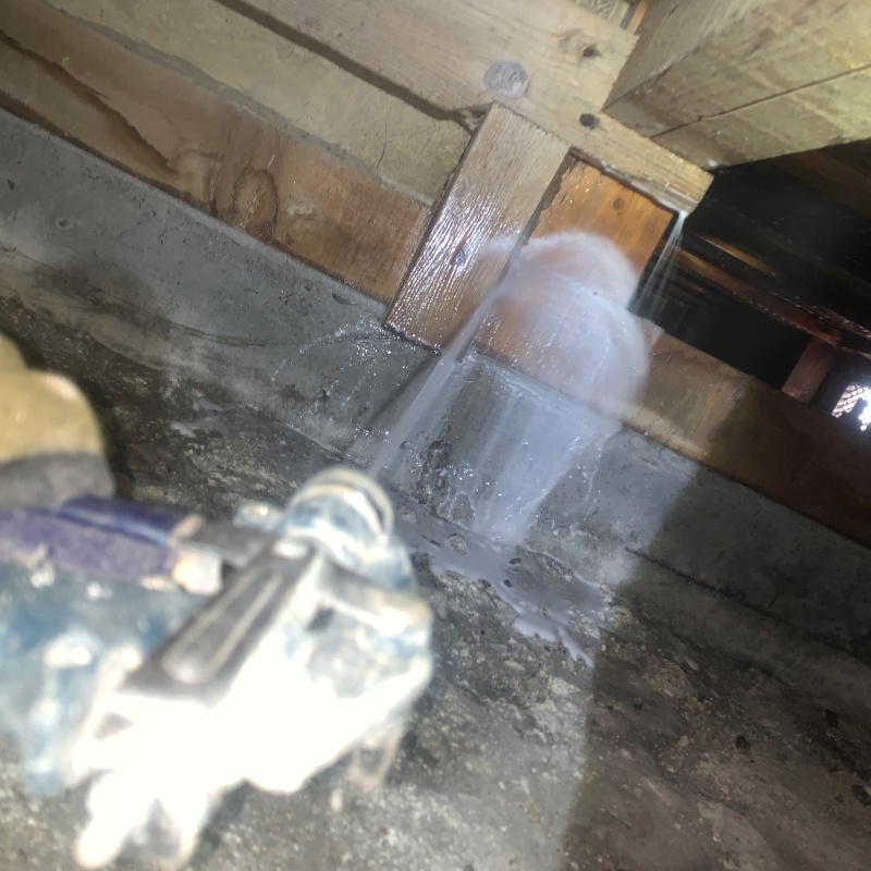 床下の木材にシロアリ駆除剤を散布