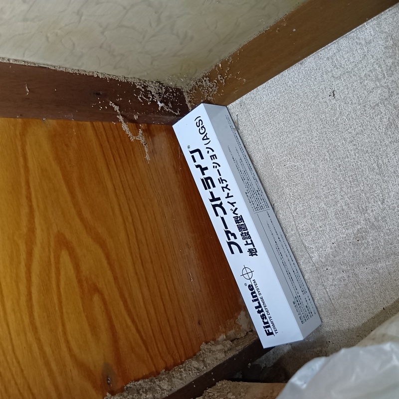 ベイト剤を設置した様子