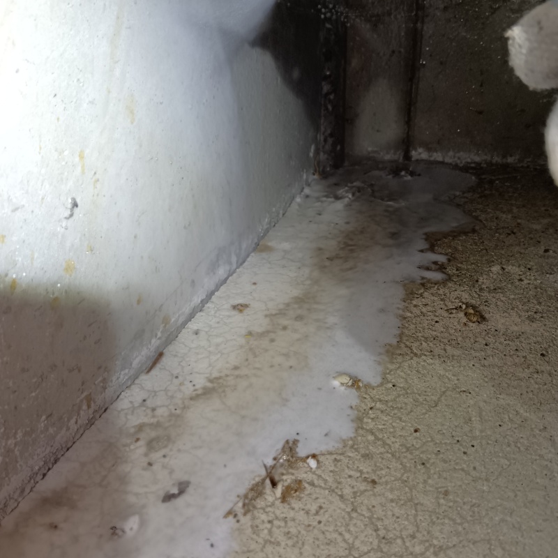 基礎の立ち上がりにシロアリ駆除剤を散布