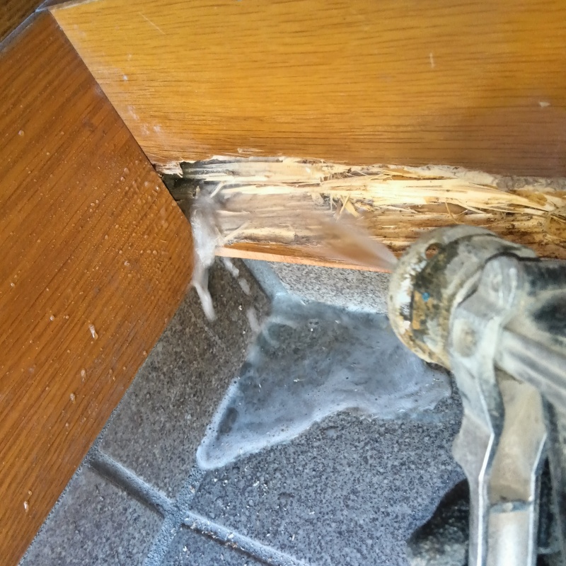 食害を受けた木材にシロアリ駆除剤を散布